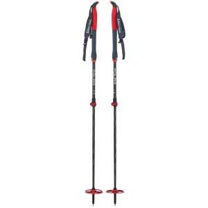 Asnes Polar 2-Section Carbon/Kevlar Ski Poles