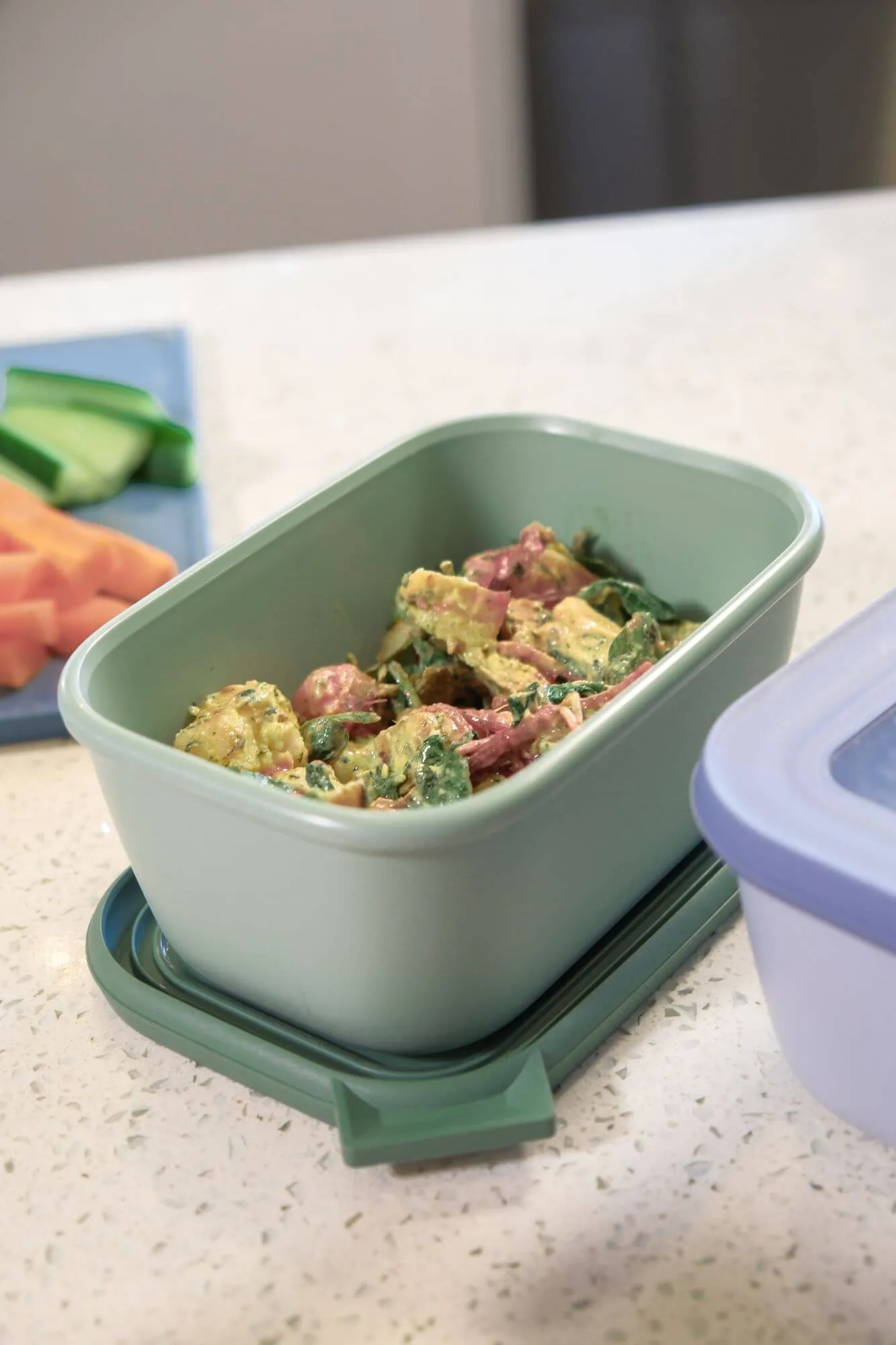 Cirqula 500mL Freezer Container Nordic Sage