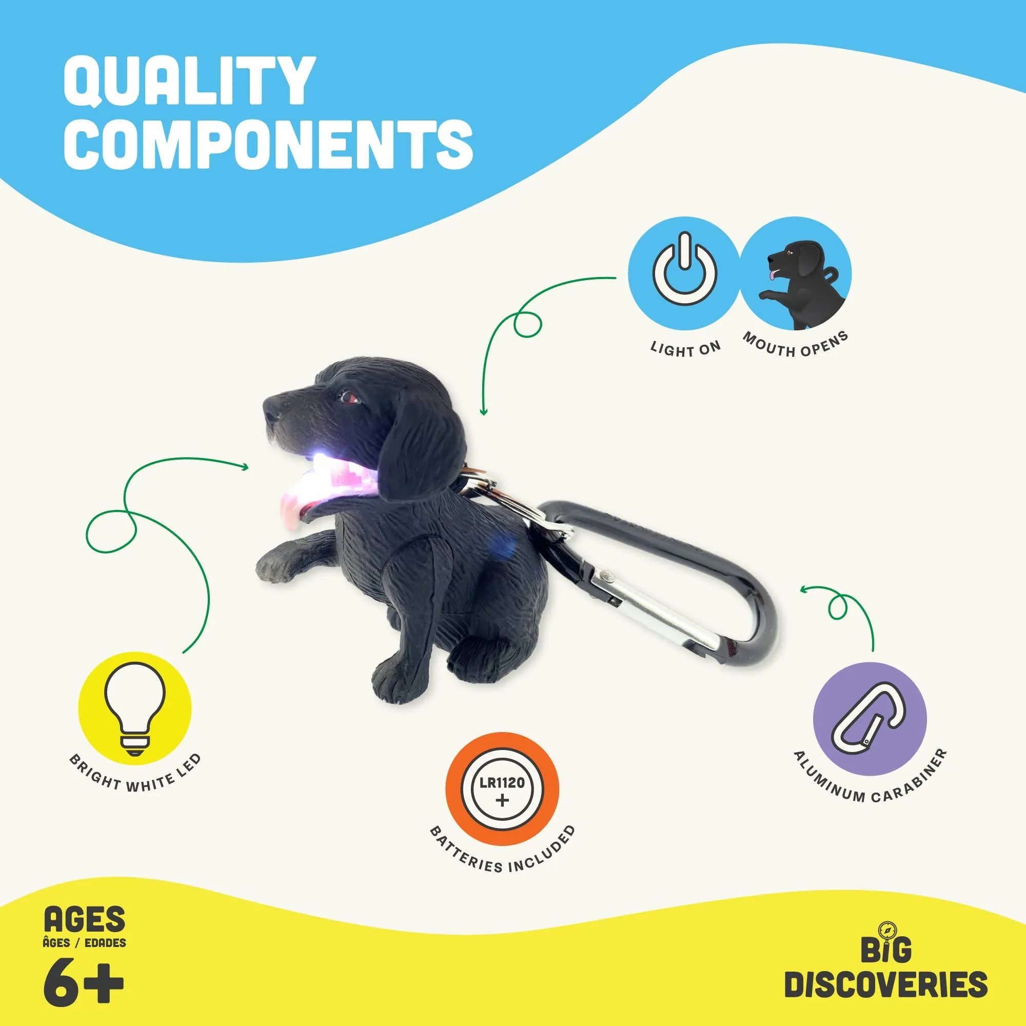 Flashlight - Black Labrador Dog